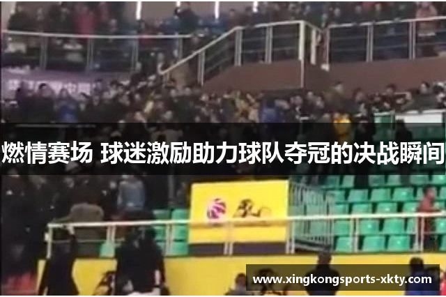 燃情赛场 球迷激励助力球队夺冠的决战瞬间