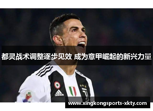 都灵战术调整逐步见效 成为意甲崛起的新兴力量