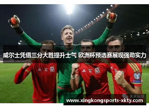 威尔士凭借三分大胜提升士气 欧洲杯预选赛展现强劲实力