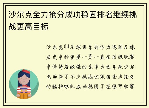 沙尔克全力抢分成功稳固排名继续挑战更高目标