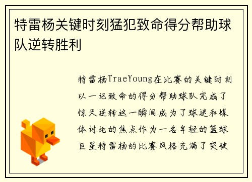 特雷杨关键时刻猛犯致命得分帮助球队逆转胜利